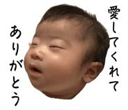 859268333