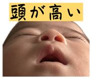 859268356