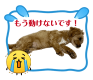 859268582