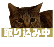 859269259