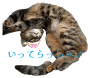 859269270