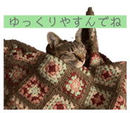 859269272