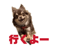 859269659