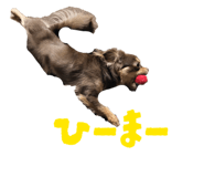 859269662