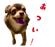 859269663