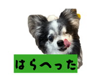 859269666