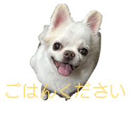 859269670