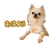 859269671