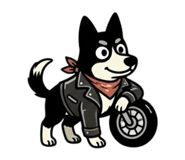 859269955