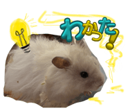 859270020