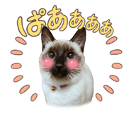 859270084