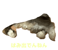 859270632