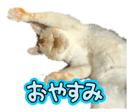 859270818