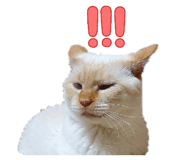 859270822
