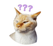 859270823