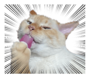 859270824