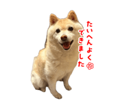 859270836