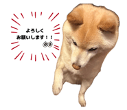 859270837