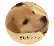 859270840