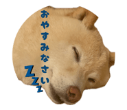 859270842