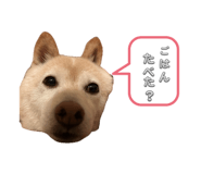 859270844