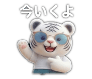859271156