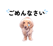 859271266