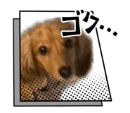 859271281
