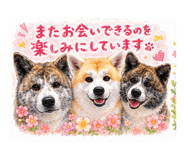 859271450