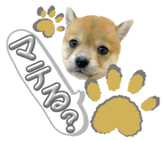 859271676
