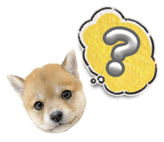 859271678