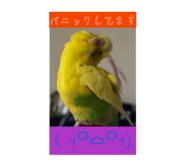 859271711