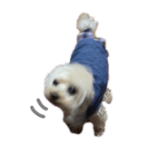 859271959