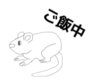 859272139