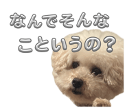 859272152