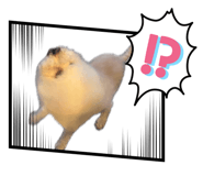 859272153