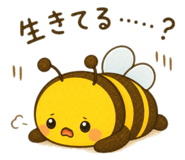 859272205