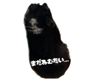 859272417