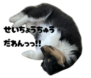 859272418