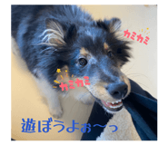 859272424