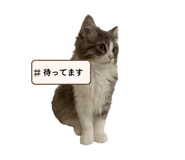 859273444
