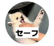 859273981