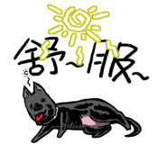 859274024