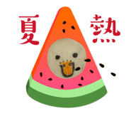 859274311