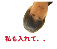 859274694