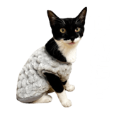859274946