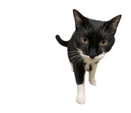 859274949