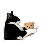 859274951