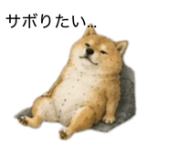 859275833