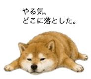 859275834